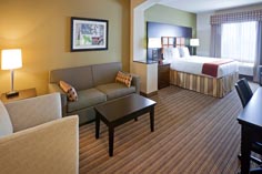 Dallas Texas Hotel Holiday Inn Express King Suite