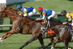 Dallas Texas Hotel Near Lonestar Park Grand Prairie